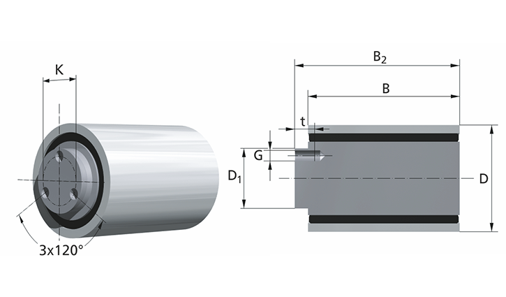 Spannrolle B/F2 117/120-2 Typ B mit Flansch, Lauffläche glatt, mit Bordscheiben, 2-fach auf Rillenkugellagern gelagert, Riemenbreite 100mm